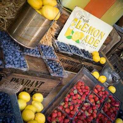 The Grounds Of Alexandria