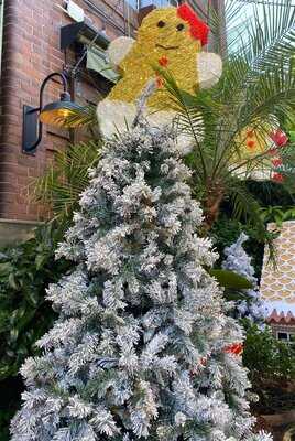 The Grounds Of Alexandria