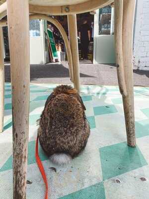 St Ali Coffee Roasters