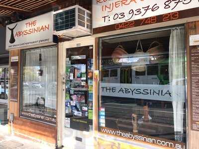 The Abyssinian