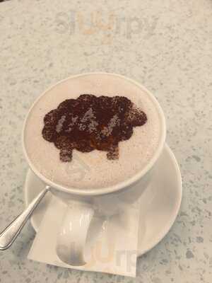 Black Sheep On Sturt