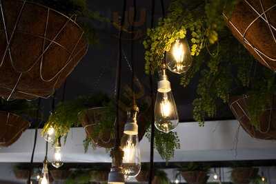 Collegians Balgownie