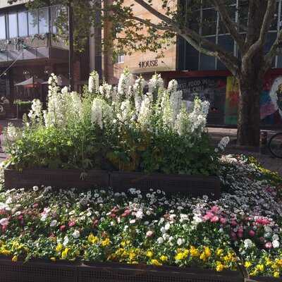 King O'malley's Irish Pub