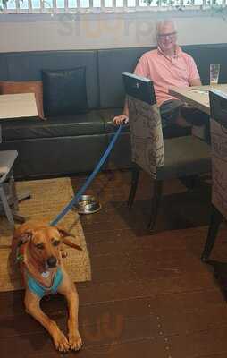 Siren Bar And Restaurant