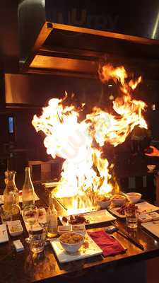 Fuji Yama Tepan Restaurant