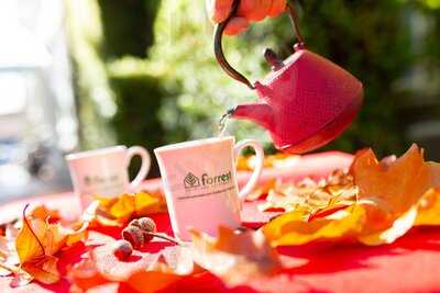 Sherwood Restaurant At The Forrest Hotel