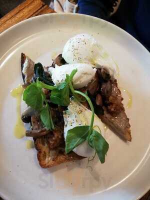 Suzie Q Coffee & Records