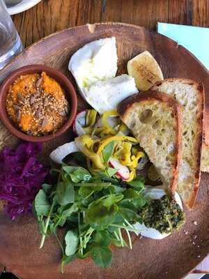 Suzie Q Coffee & Records