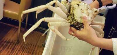 Crystal Jade Restaurant