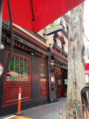 Elephant And Wheelbarrow