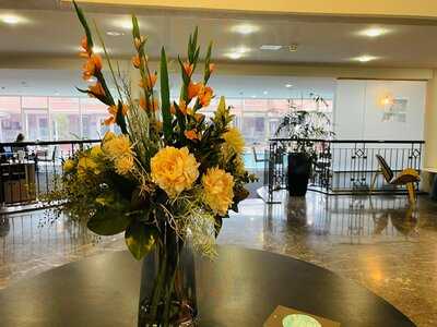 Restaurant & Bar 203