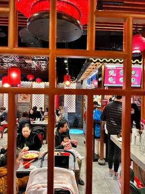 David's Master Pot (elizabeth St - Cbd)