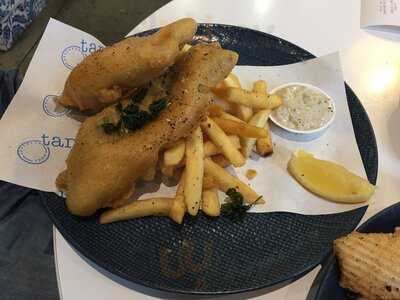 Tank Fish And Chippery