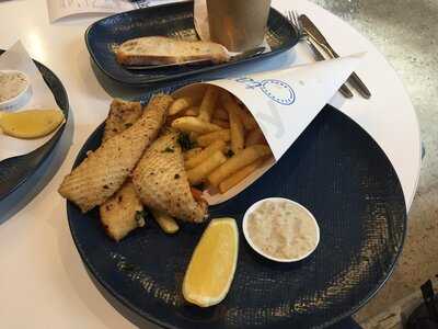 Tank Fish And Chippery