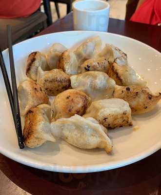Shanghai Dumpling Cafe