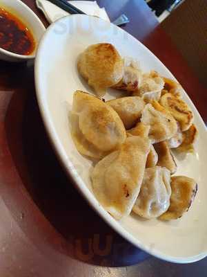 Shanghai Dumpling Cafe