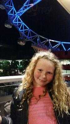 The Groove Train Harbour Town