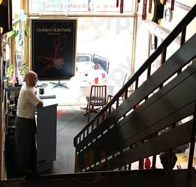 Golden Orchids