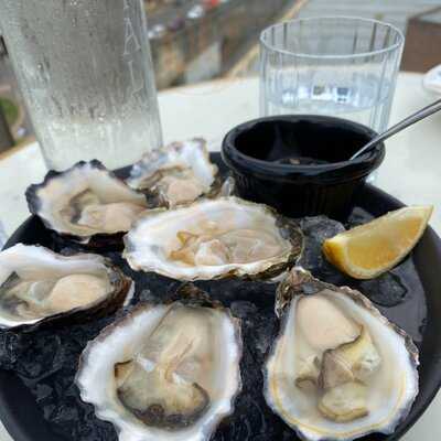 Henry Deane At Hotel Palisade