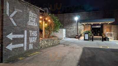 Three Blue Ducks Rosebery