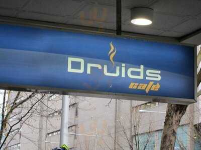 Druids