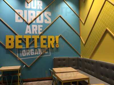 Chicken Confidential