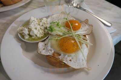 Grass Hopper's Feast