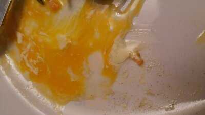 Grass Hopper's Feast