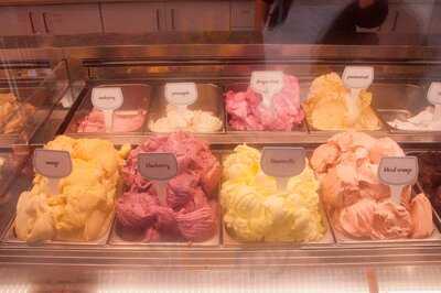 Gelaterid On The Docks