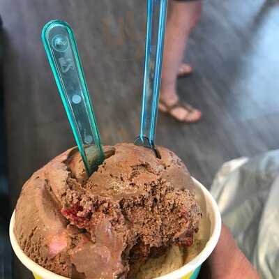 Gelaterid On The Docks