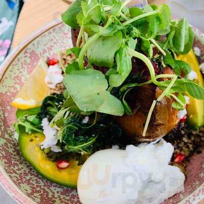 Concrete Jungle Cafe