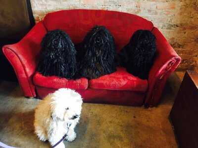 The Great Northern Hotel