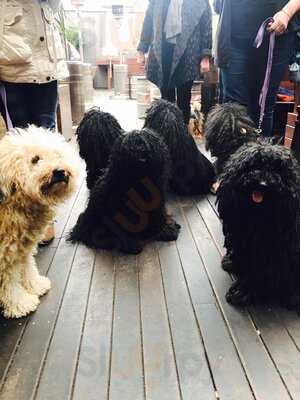 The Great Northern Hotel