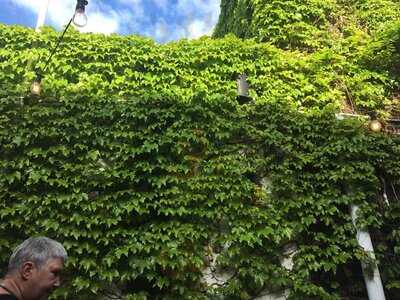 South Press Winehouse