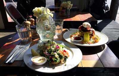 Magic Speciality Coffee