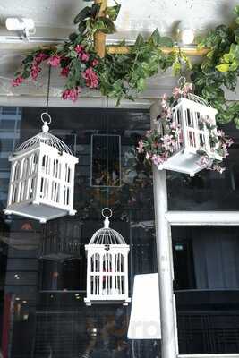 Little Brother Vietnamese Street Food