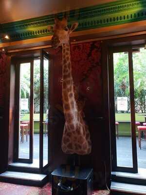 The Carlton Bar, Balcony & Dining Room