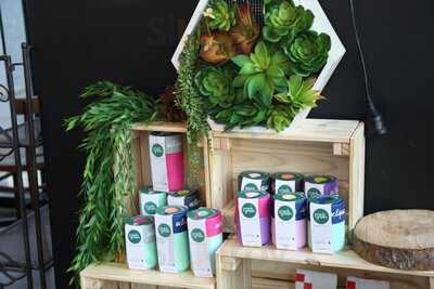 Eclipse Specialty Coffee