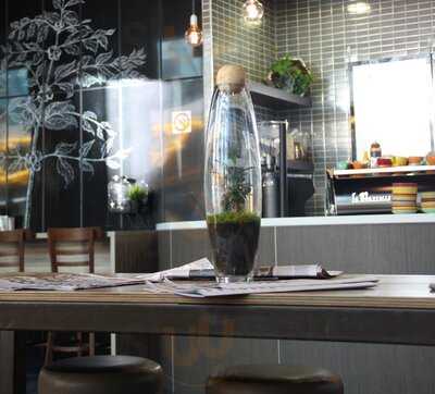 Eclipse Specialty Coffee