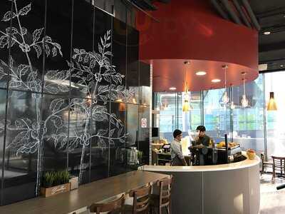 Eclipse Specialty Coffee