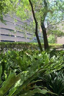 Sakuratei Japanese Restaurant