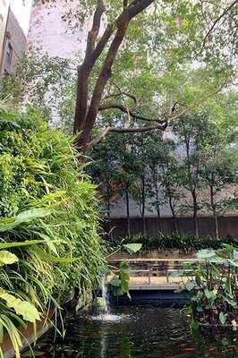 Sakuratei Japanese Restaurant