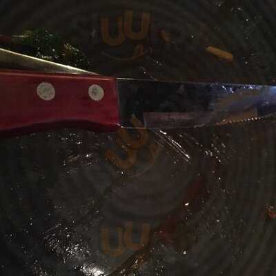 Scary Canary Backpacker Bar