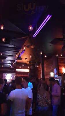 Scary Canary Backpacker Bar