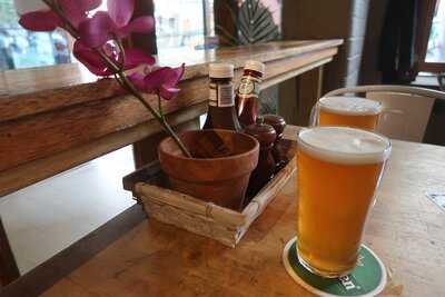 Scary Canary Backpacker Bar