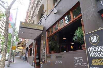 Scary Canary Backpacker Bar