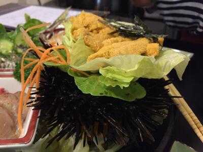 Yokozuna Japanese Cuisine