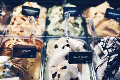 Gelatissimo Darling Quarter