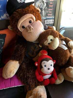 Funky Monkey Cafe At Newtown