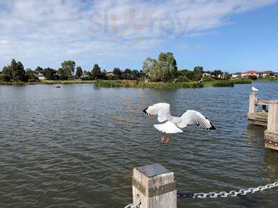 Nest At Waterways Cafe